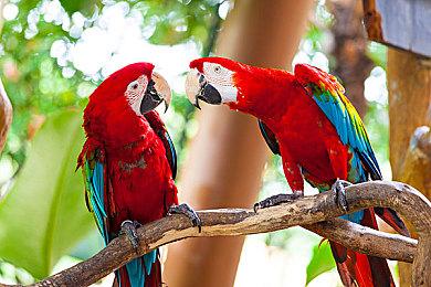 《无双深渊》新版本即将上线 瑞秋角色介绍