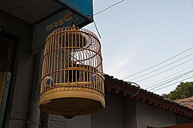 《生化危机9》女主死亡片段 看起来太吓人了